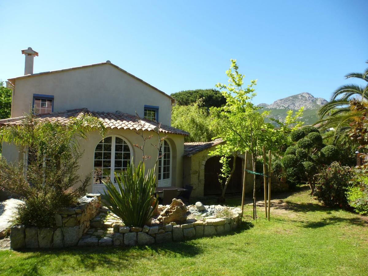 Residence A Merula Calvi  Buitenkant foto